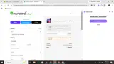 Nanoleaf coupon verification screenshot