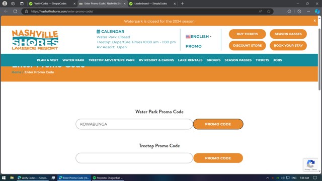 Nashville Shores checkout page showing Nashville Shores coupon code box | Screenshot taken by SimplyCodes community member on Nov 9, 2024