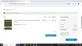 PAYLODE12 coupon verification screenshot