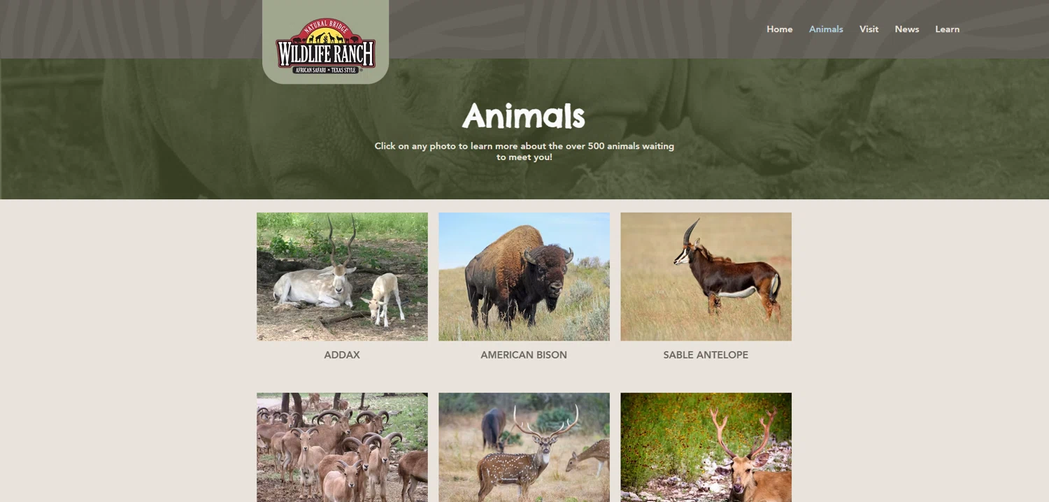 Natural Bridge Wildlife Ranch coupon code screenshot showing code SPRING15 applied at Natural Bridge Wildlife Ranch checkout page. Uploaded by SimplyCodes community member Dorothy on Mar 24, 2025