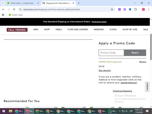 Naturalizer checkout page showing Naturalizer promo code box | Screenshot taken by SimplyCodes community member on Aug 17, 2025