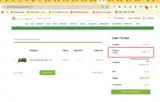 The Natural Remedy coupon verification screenshot