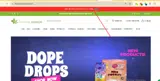 The Natural Remedy coupon verification screenshot