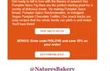 FIGLOVE coupon verification screenshot