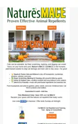 CAT10 coupon verification screenshot