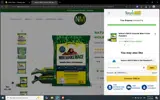 PUMPKIN10 coupon verification screenshot