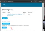 HOLIDAY25 coupon verification screenshot
