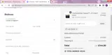 LIZLOVES coupon verification screenshot