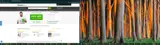 SAVE15 coupon verification screenshot