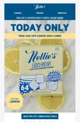 Nellie's coupon verification screenshot