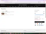 Net-A-Porter coupon verification screenshot