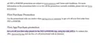 Net-A-Porter coupon verification screenshot