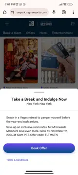 TLTMSTN coupon verification screenshot