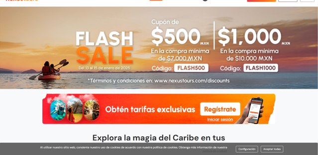 Nexus Tours checkout page showing Nexus Tours promo code box | Screenshot taken by SimplyCodes community member on Jan 14, 2025