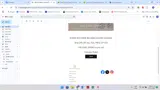 spring coupon verification screenshot