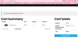 BringTheNoise25-MAY-ATHENS coupon verification screenshot