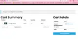 BringTheNoise25-FEB-PARIS coupon verification screenshot