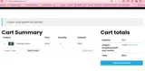 BringTheNoise25-MAY-LONDON coupon verification screenshot