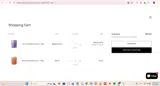 BERRYGIFT coupon verification screenshot