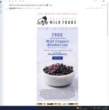 WILDBLUEBERRY25 coupon verification screenshot