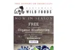 blueberry25 coupon verification screenshot