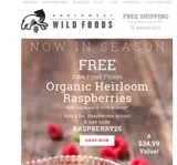 RASPBERRY25 coupon verification screenshot