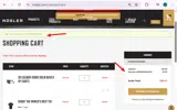 Nosler coupon verification screenshot