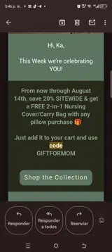 DIY9 coupon verification screenshot