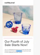 FIREWORKS coupon verification screenshot
