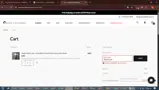 SPRING20 coupon verification screenshot