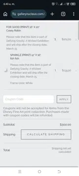 PINSHIPPING coupon verification screenshot