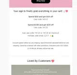 Olive Kollection coupon verification screenshot