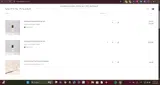 Olivine coupon verification screenshot