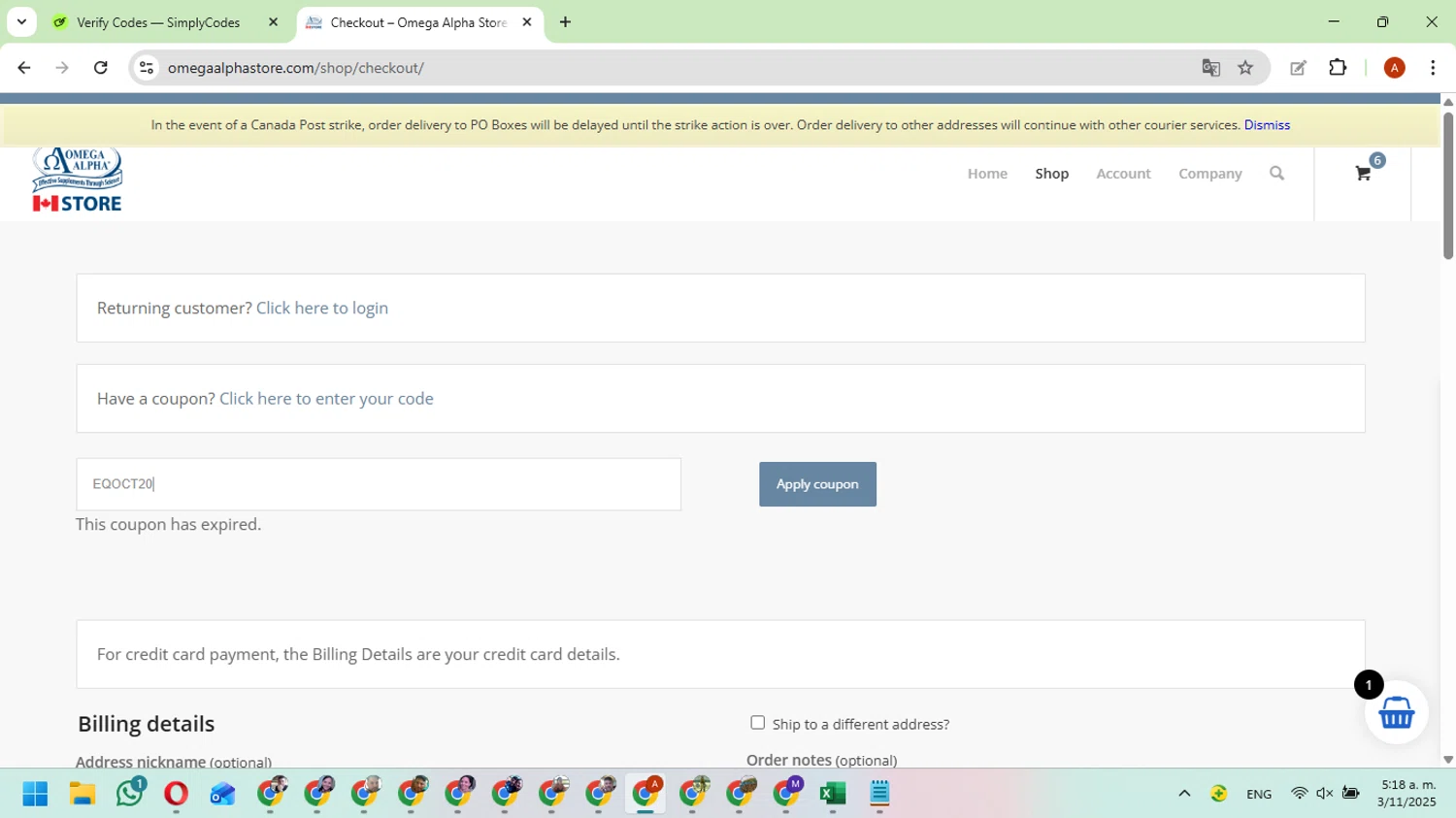 Omega Alpha Store promo code screenshot showing code EQOCT20 applied at Omega Alpha Store checkout page. Uploaded by SimplyCodes community member FundoKadmiel on Nov 3, 2025