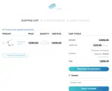 ALO coupon verification screenshot