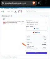 Opal Auctions coupon verification screenshot
