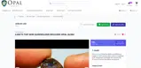 Opal Auctions coupon verification screenshot