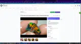 Opal Auctions coupon verification screenshot