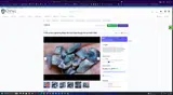 Opal Auctions coupon verification screenshot