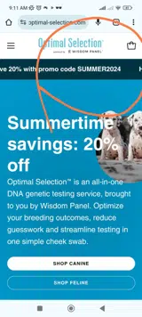SUMMER2024 coupon verification screenshot