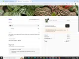 Orange Lake Nursery coupon verification screenshot