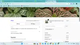 Orange Lake Nursery coupon verification screenshot