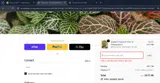 Orange Lake Nursery coupon verification screenshot