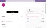 BFCM_SM coupon verification screenshot