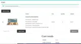 FLATSHIP coupon verification screenshot
