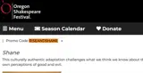 RISEANDSHANE coupon verification screenshot