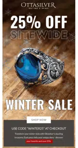 WINTER25 coupon verification screenshot