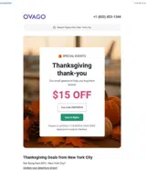 festive15 coupon verification screenshot