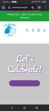 Owl & Goose Gifts coupon verification screenshot