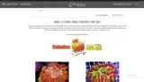 WOWZA40 coupon verification screenshot